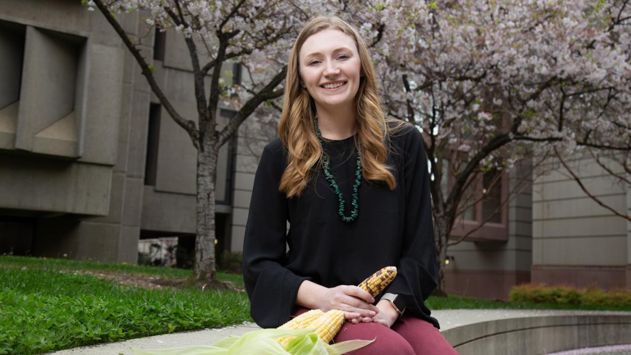 Plant biology Ph.D. student Katherine Murphy studies medicinal terpenes found in corn that could help bolster other crops' defenses. David Slipher/UC Davis